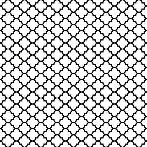 ModernBump Black And White