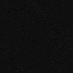 ModernBump Black And White