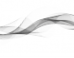 ModernBump Black And White
