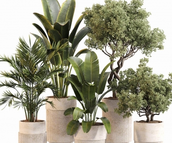Modern Ground Green Plant Potted Plants-ID:255882027