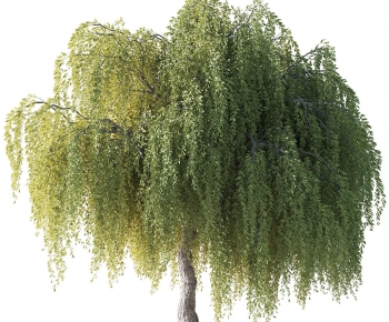 Modern Tree-ID:774302964