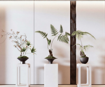 Modern Bonsai-ID:924282076