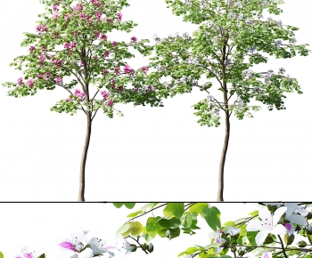 Modern Tree-ID:838643079