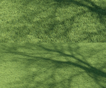 Modern The Grass-ID:406819113