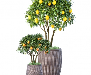 Modern Ground Green Plant Potted Plants-ID:498720886