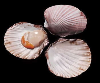 Modern Aquatic Animals-ID:931220192