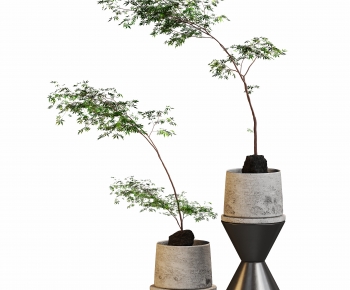 Modern Potted Green Plant-ID:738320117