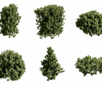 Modern Shrubbery-ID:414346932