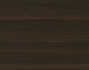 ModernWood Texture