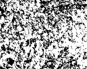 ModernBump Black And White