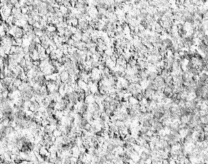 ModernBump Black And White