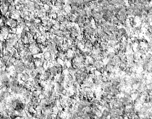 ModernBump Black And White