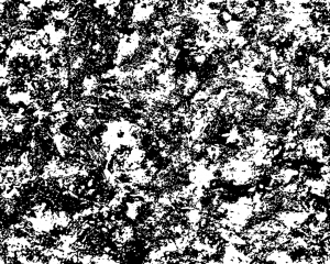 ModernBump Black And White