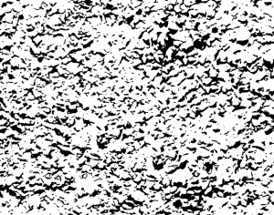 ModernBump Black And White
