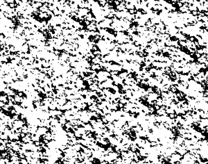 ModernBump Black And White