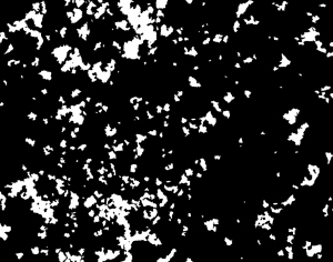 ModernBump Black And White