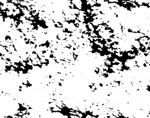 ModernBump Black And White