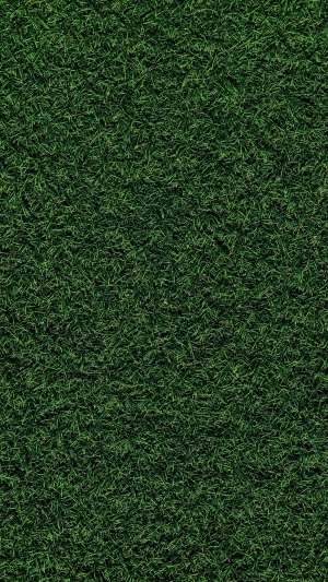 ModernGrass
