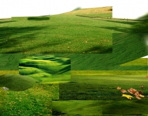 ModernGrass