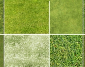 ModernGrass