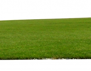 ModernGrass