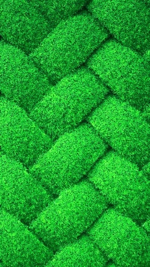 ModernGrass