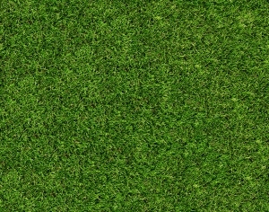ModernGrass