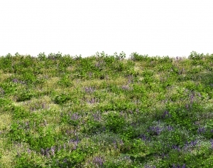 ModernGrass