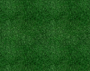 ModernGrass