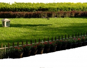 ModernGrass