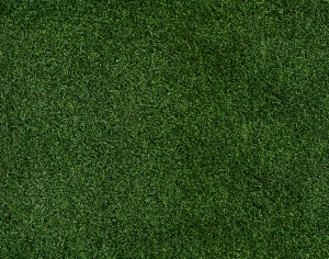 ModernGrass