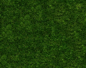 ModernGrass