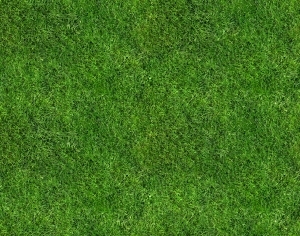 ModernGrass