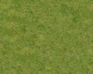 ModernGrass
