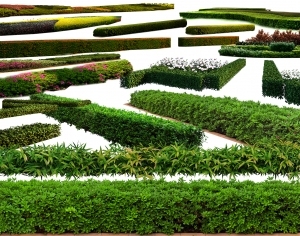 ModernGrass
