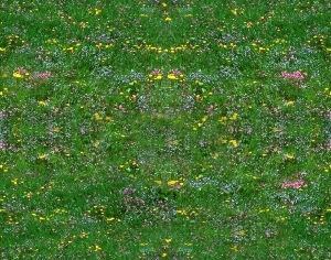 ModernGrass