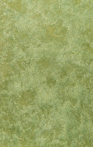 ModernGrass