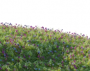 ModernGrass