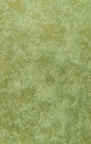 ModernGrass