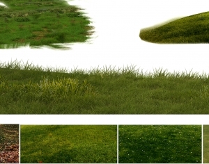 ModernGrass
