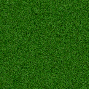 ModernGrass