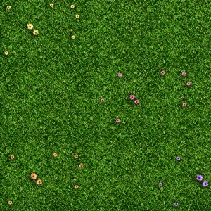 ModernGrass