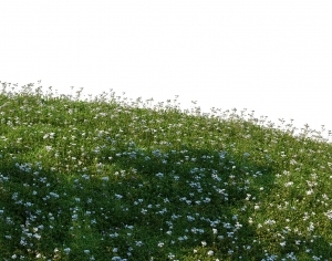 ModernGrass