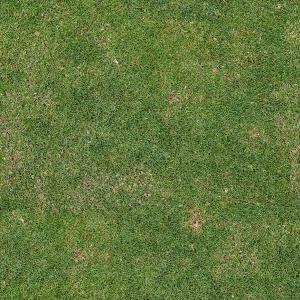 ModernGrass