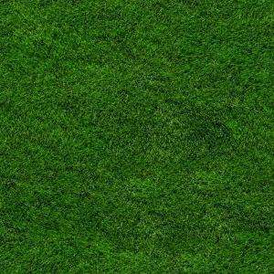 ModernGrass