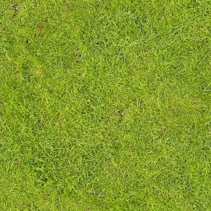 ModernGrass