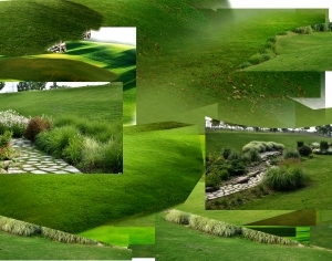 ModernGrass