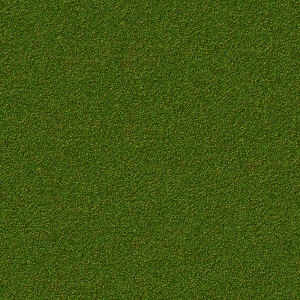 ModernGrass