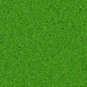 ModernGrass