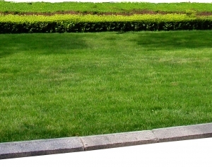 ModernGrass